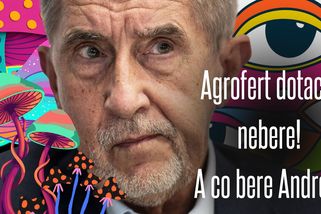 Famózní Babišův výstup promořil Sněmovnu. Vyhrožoval, řval, chválil se, mekotal... a bude se mstít | Události Luďka Staňka